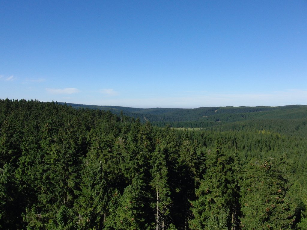 11.JPG - Pohled z Pajndlu směr S Borový vrch 350st. 2,4km
